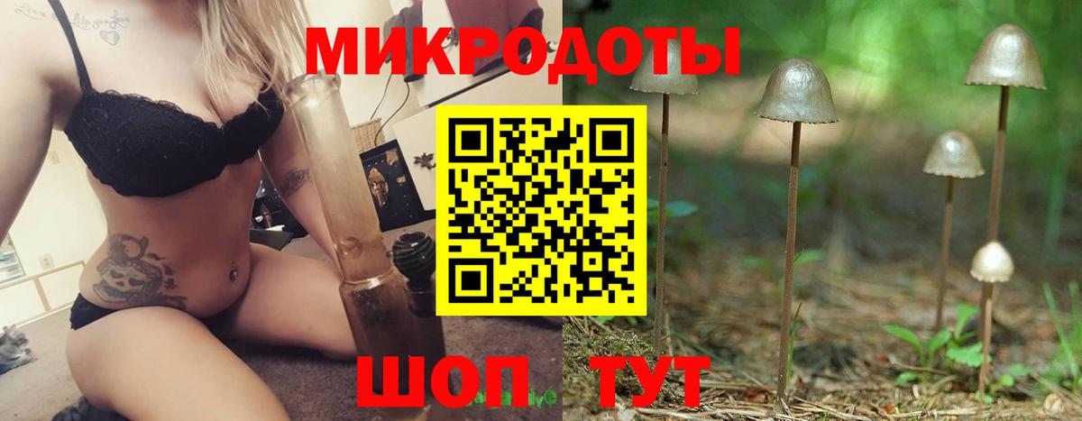 Псилоцибиновые грибы Psilocybe Нерюнгри